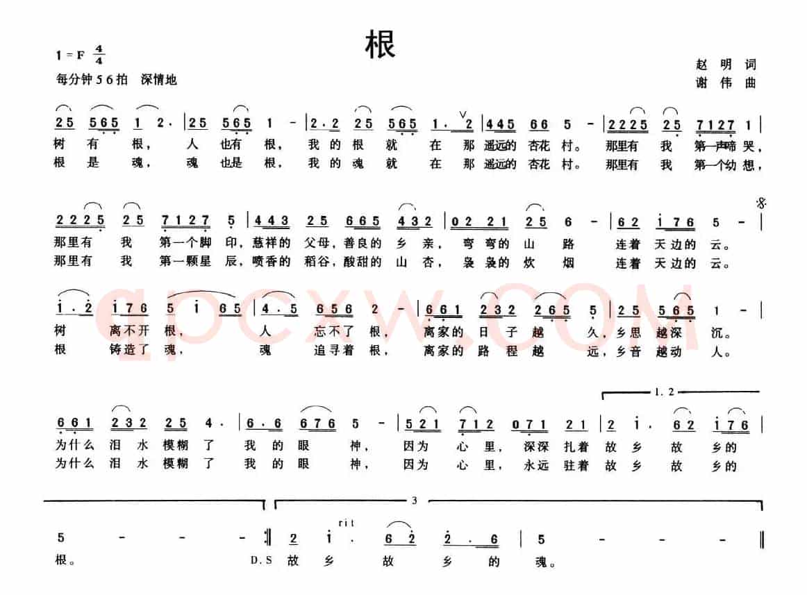根（赵明词 谢伟曲）
