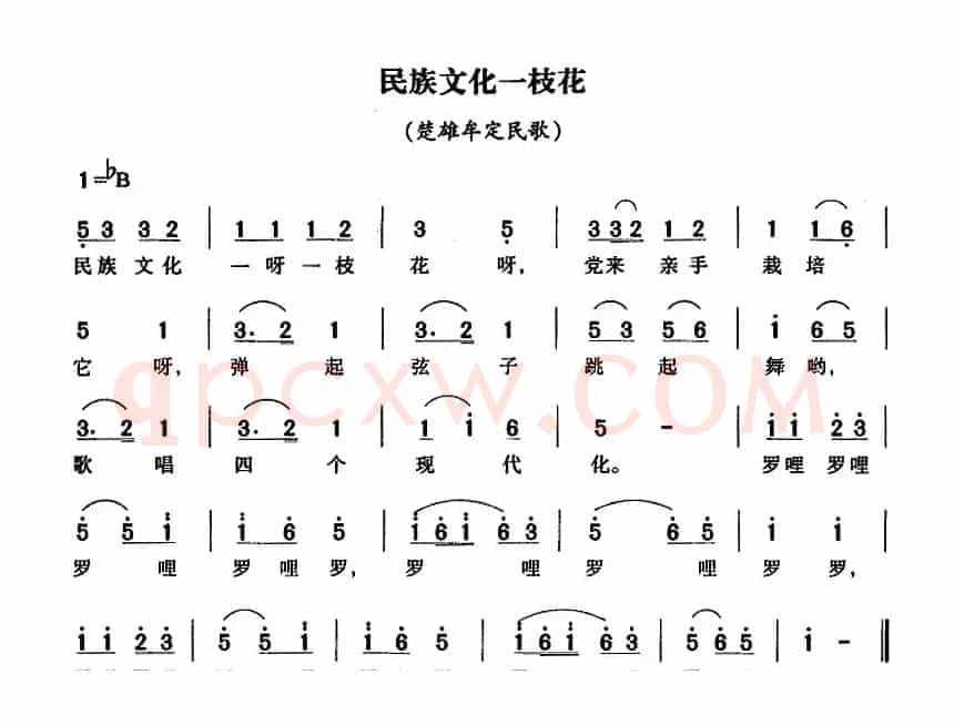 民族文化一枝花