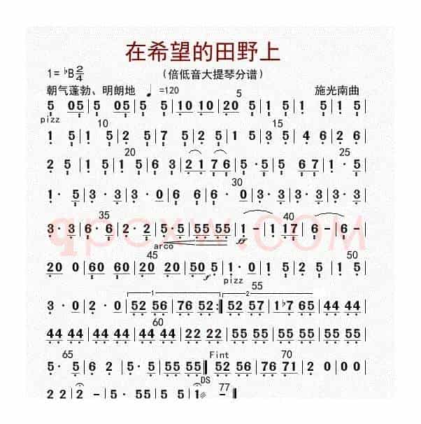 在希望的田野上（贝提琴分谱）