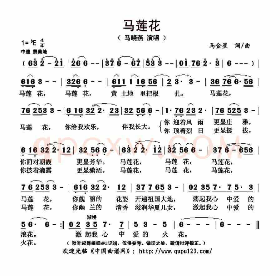 马莲花