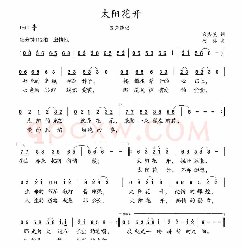 太阳花开