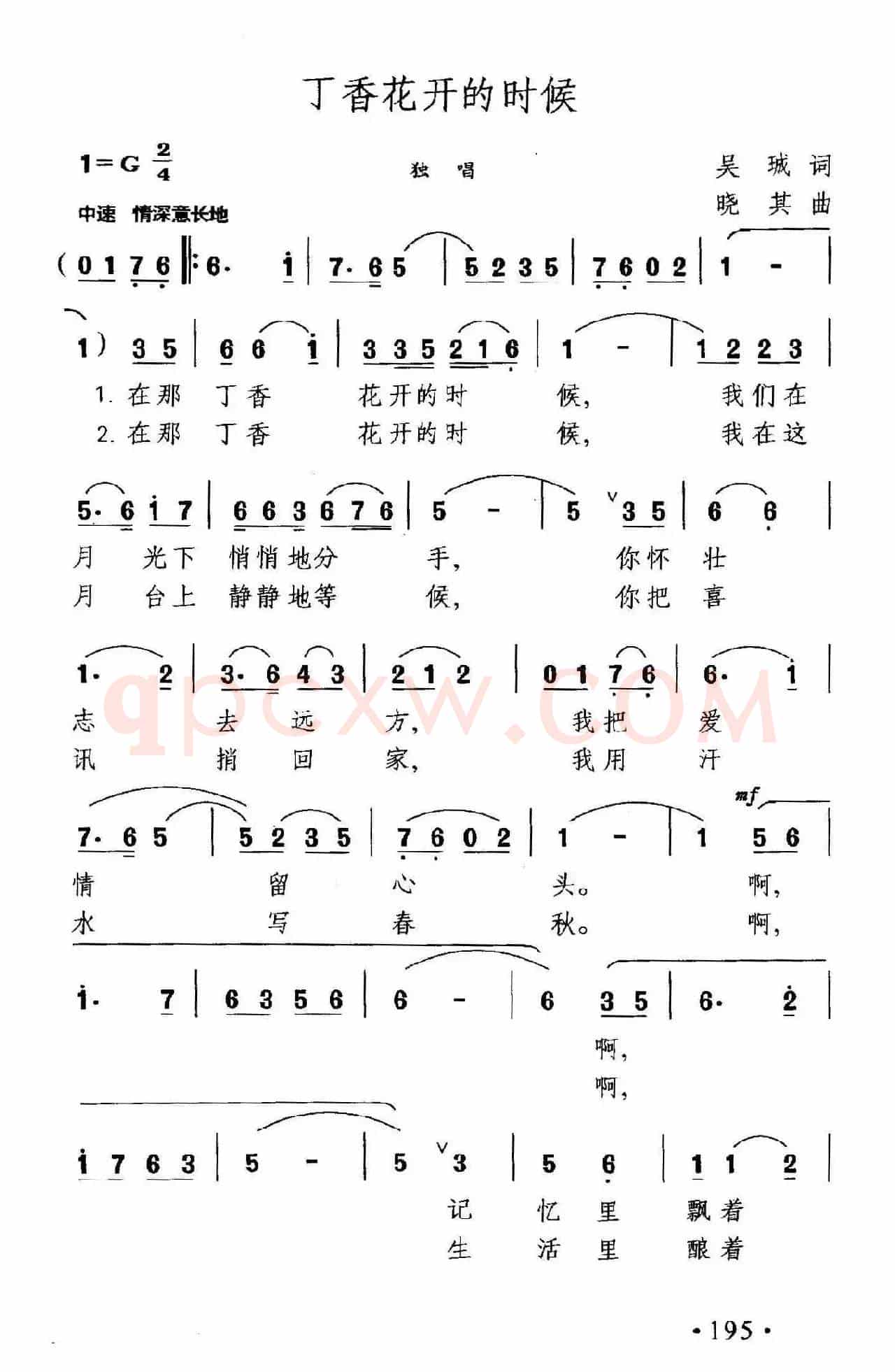 丁香花开的时候