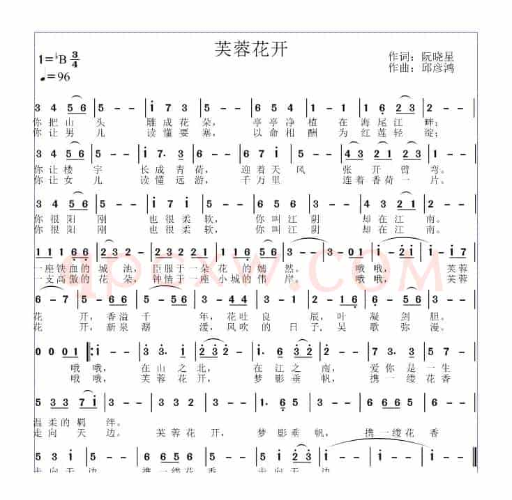 芙蓉花开