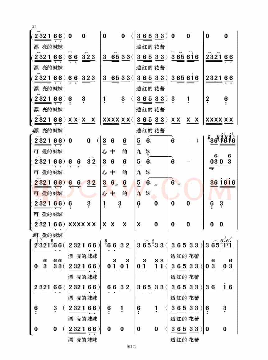九妹（民乐合奏）