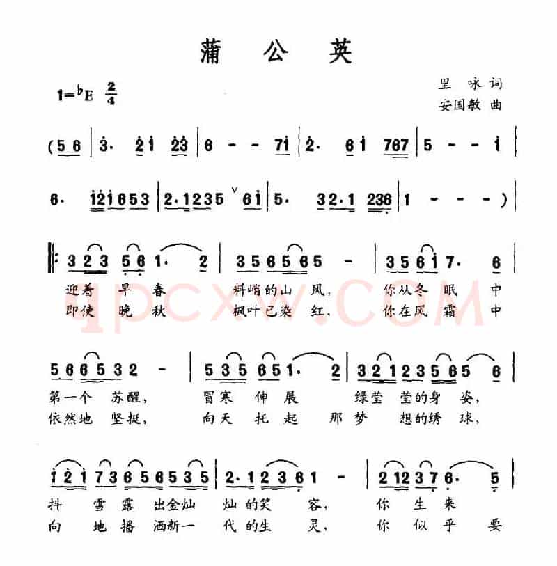 蒲公英（里咏词 安国敏曲）