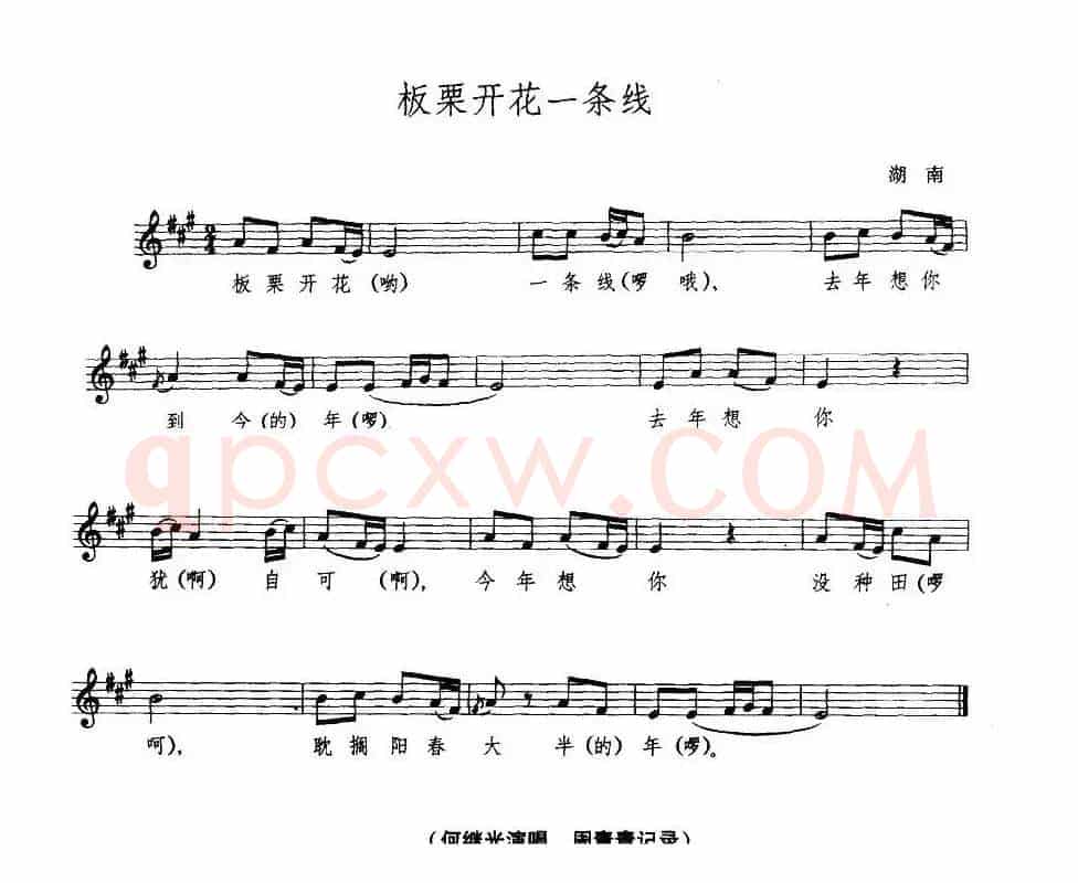 板栗开花一条线(五线谱)