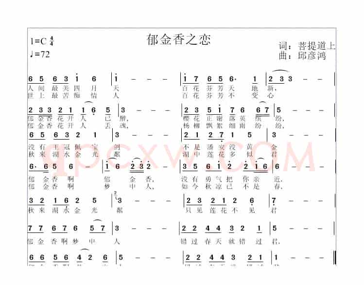 郁金香之恋