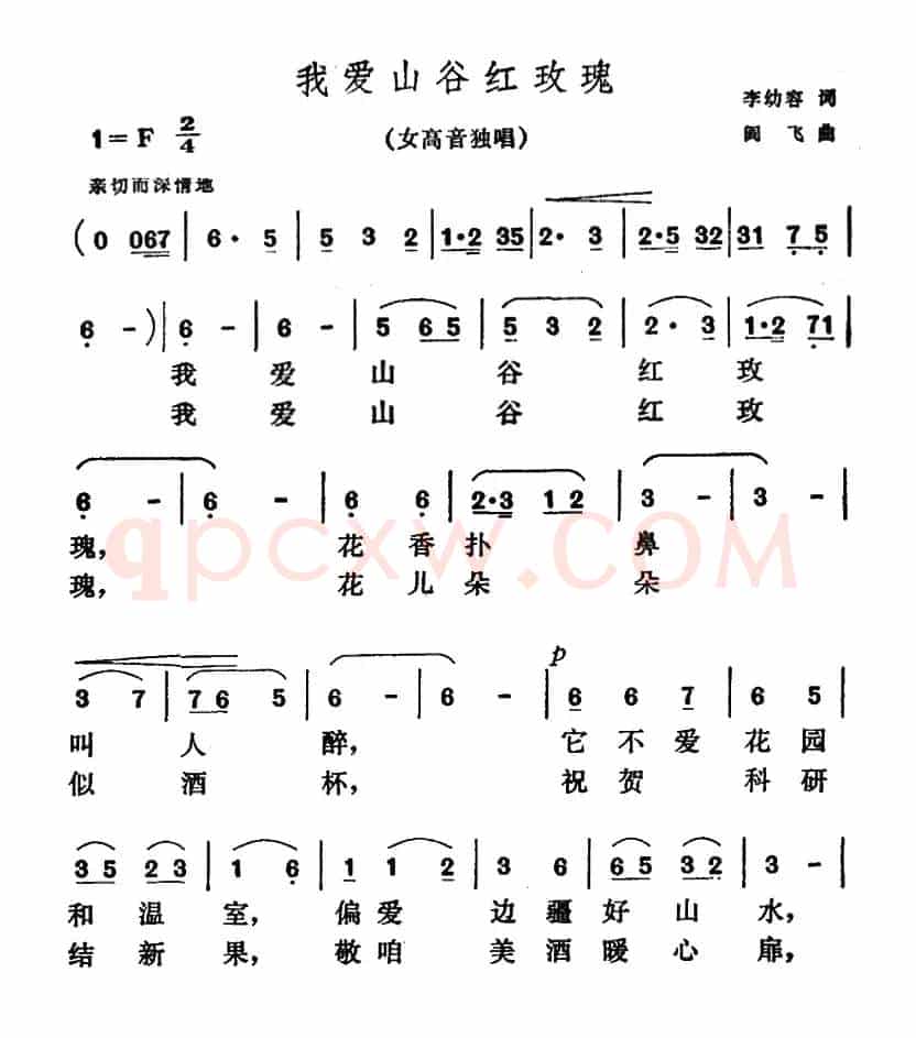 我爱山谷红玫瑰
