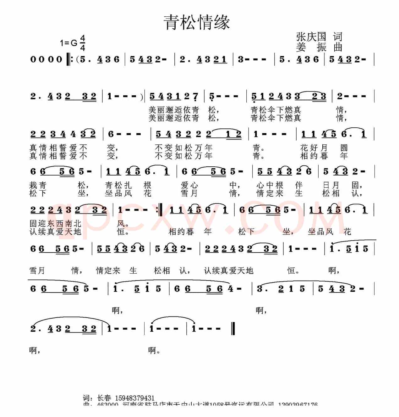 青松情缘