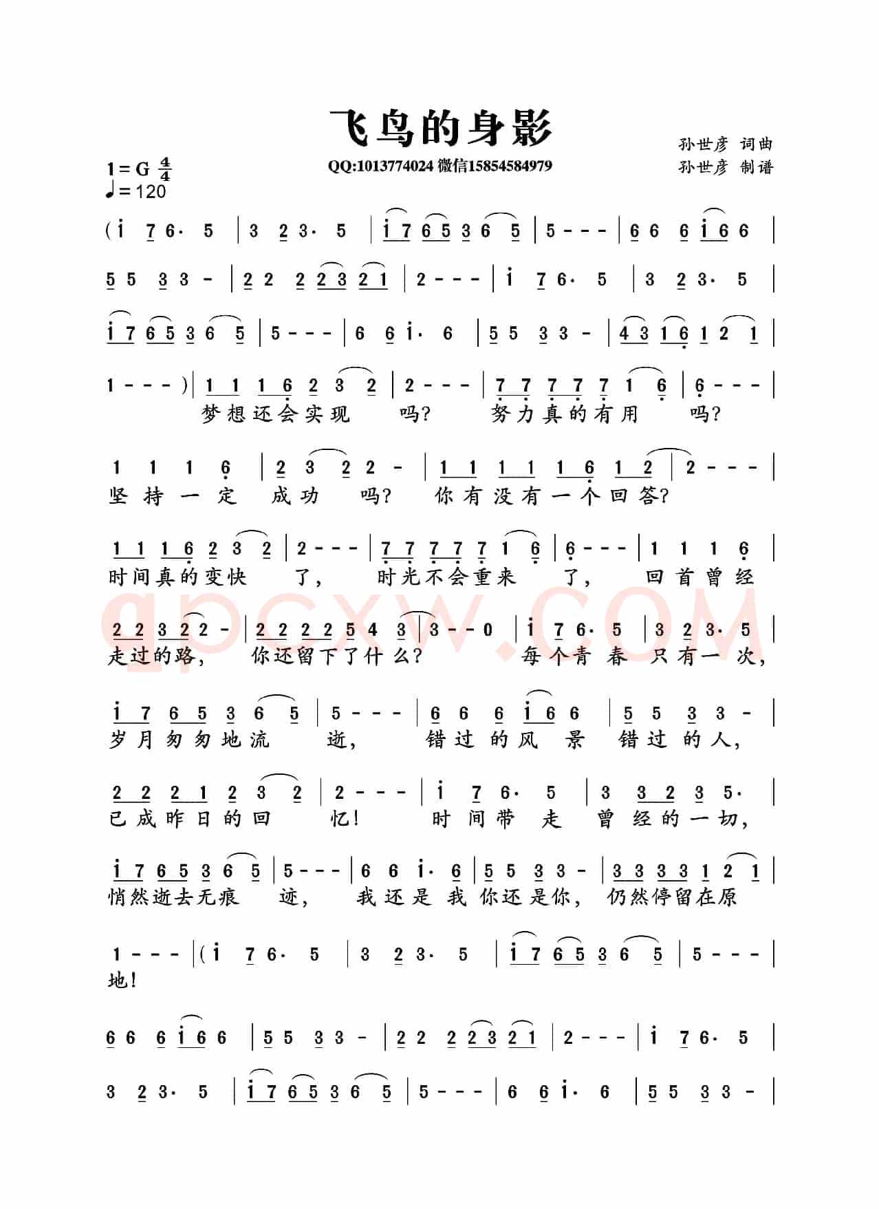飞鸟的身影（孙世彦词曲）