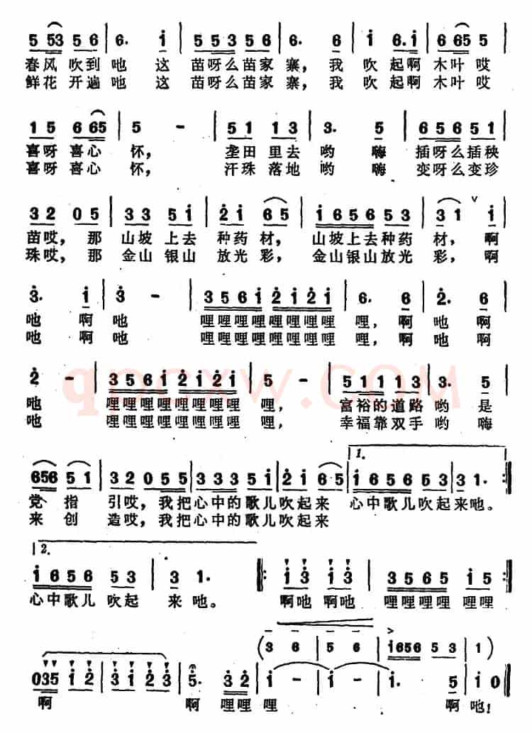 摘片木叶吹起来