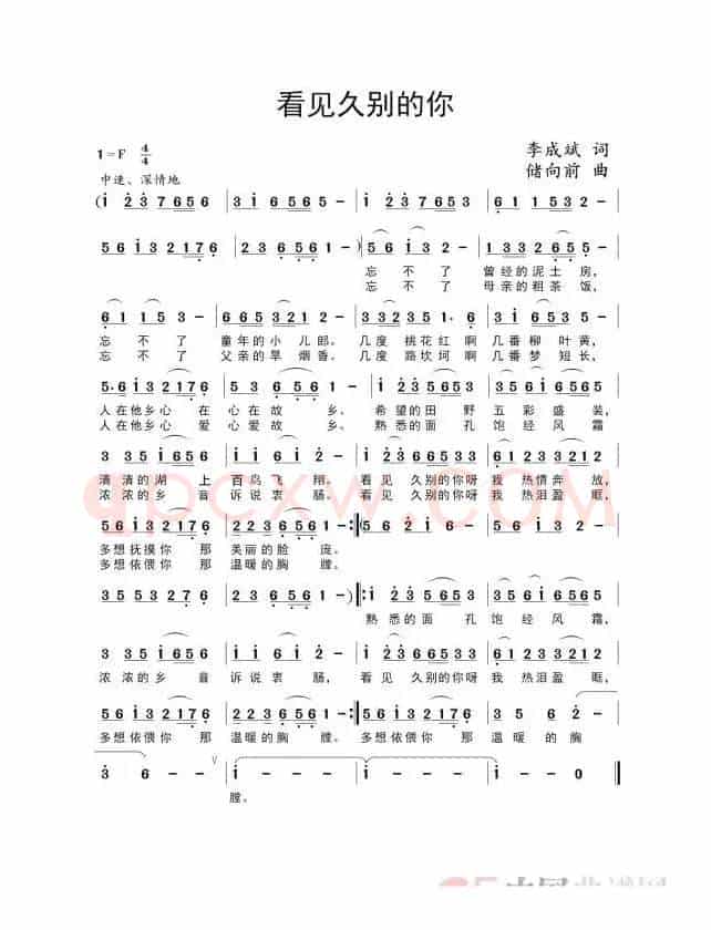 看见久别的你