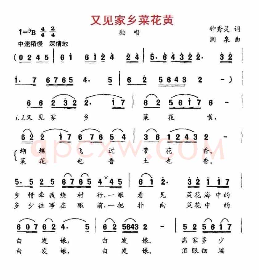 又见家乡菜花黄（钟秀灵词 涧泉曲）