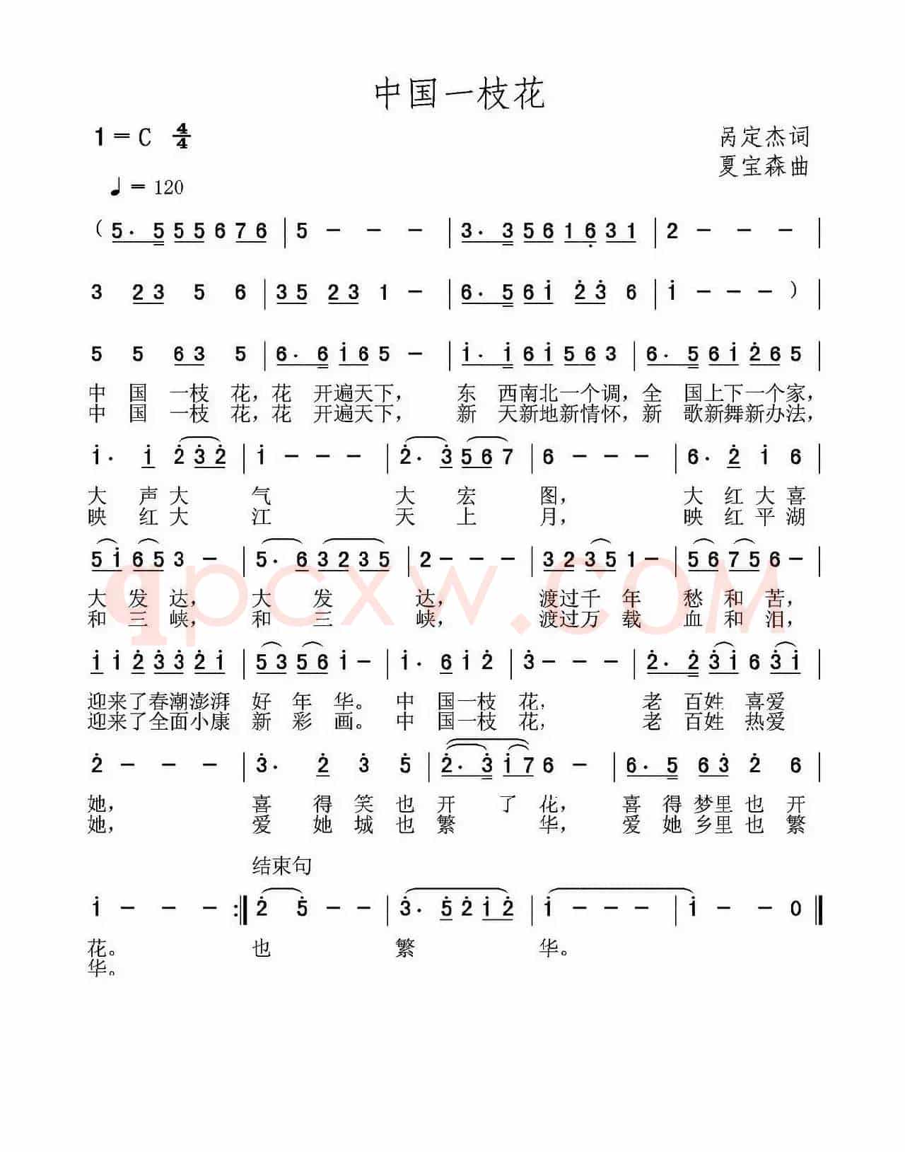 中国一枝花