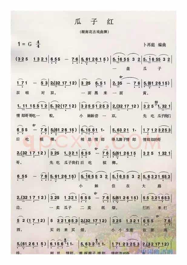 瓜子红