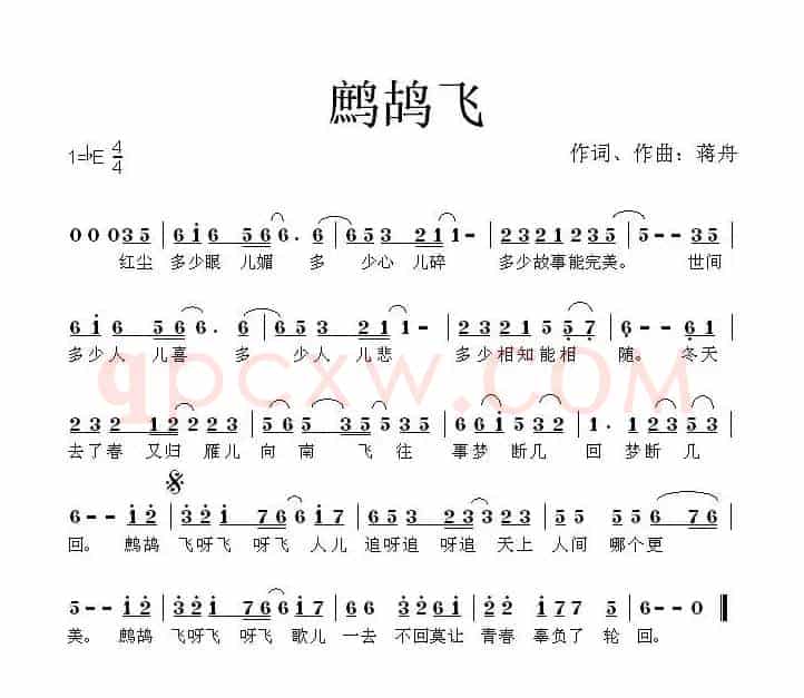 鹧鸪飞