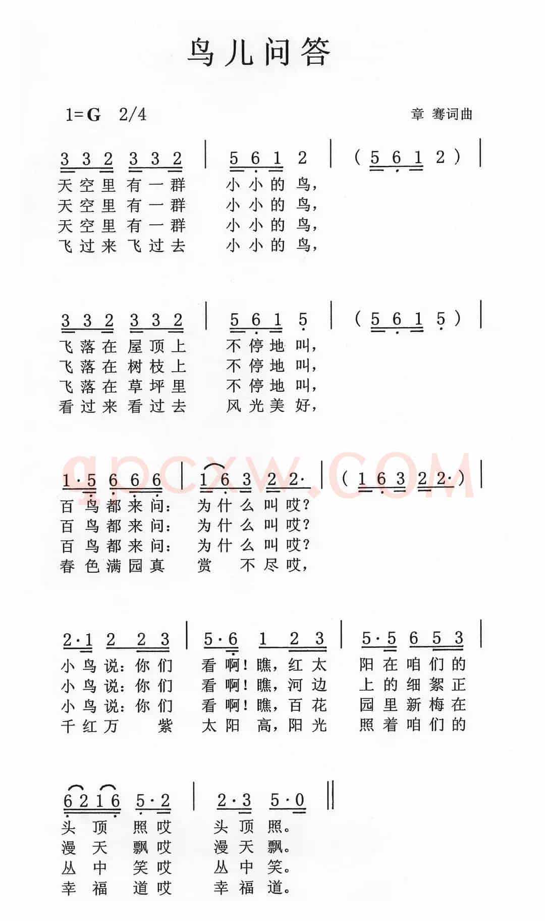 鸟儿问答