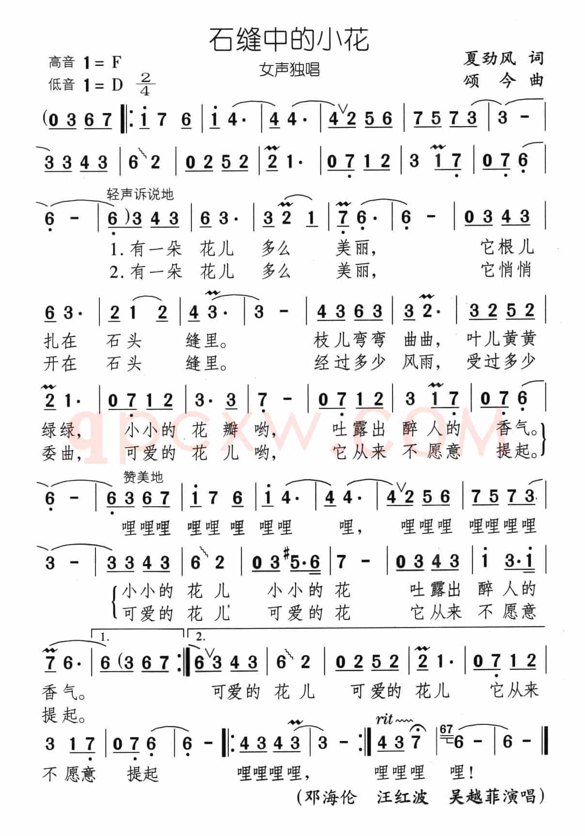 石缝中的小花（又名：石缝小花）