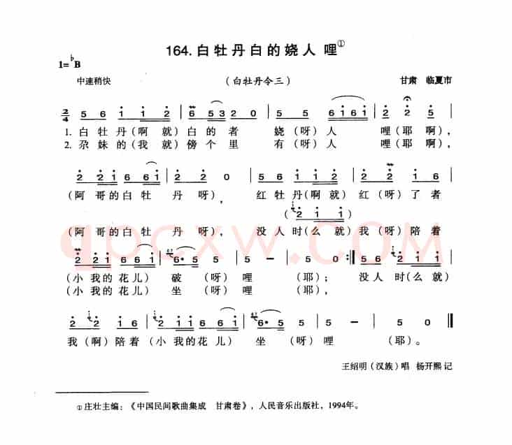 白牡丹白的娆人哩