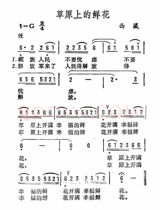 草原上的鲜花（西藏民歌）