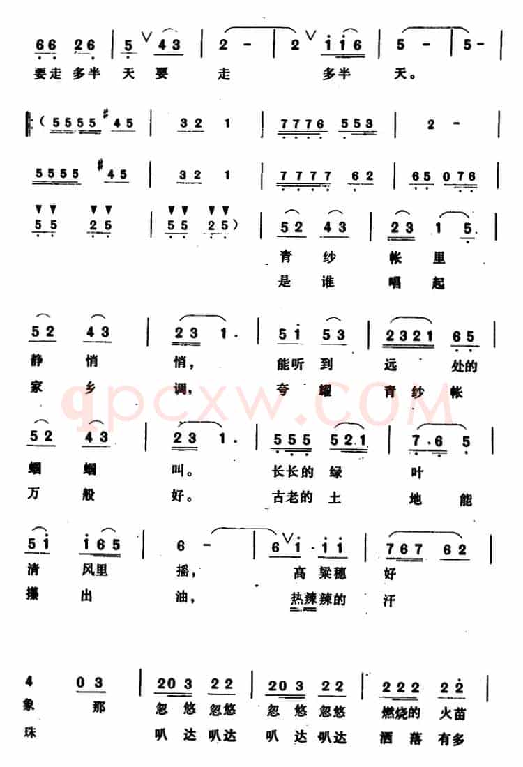 青纱帐 