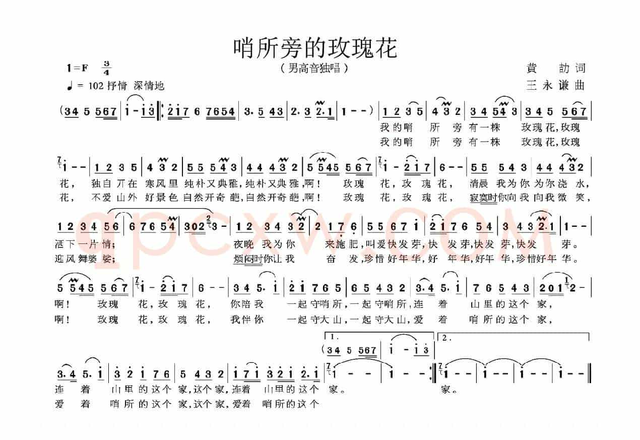 哨所旁的玫瑰花
