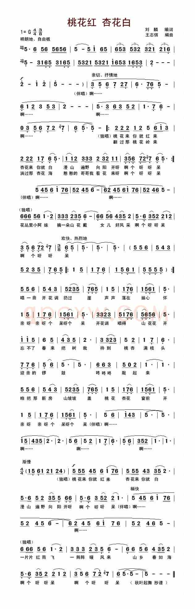 桃花红 杏花白（王志信编曲版）