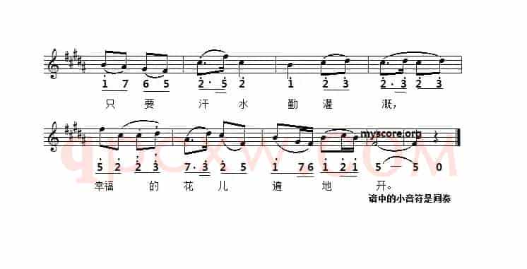 幸福不会从天降（线简谱对照版）