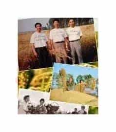 北大荒人的歌(混声合唱)