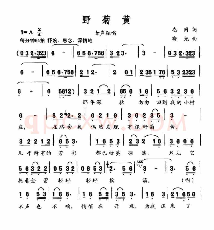 野菊黄（志同词 晓光曲）