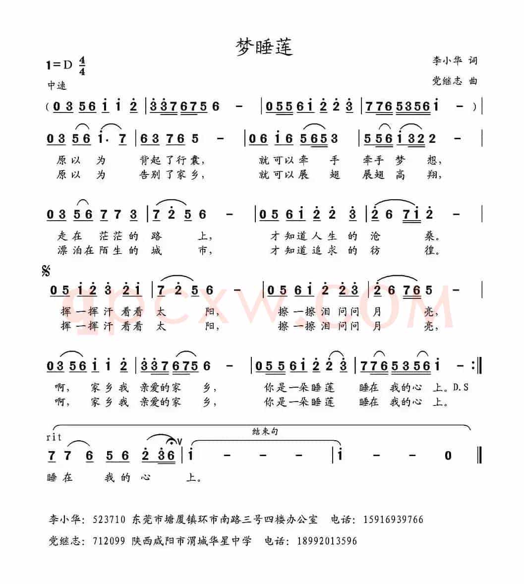 梦睡莲