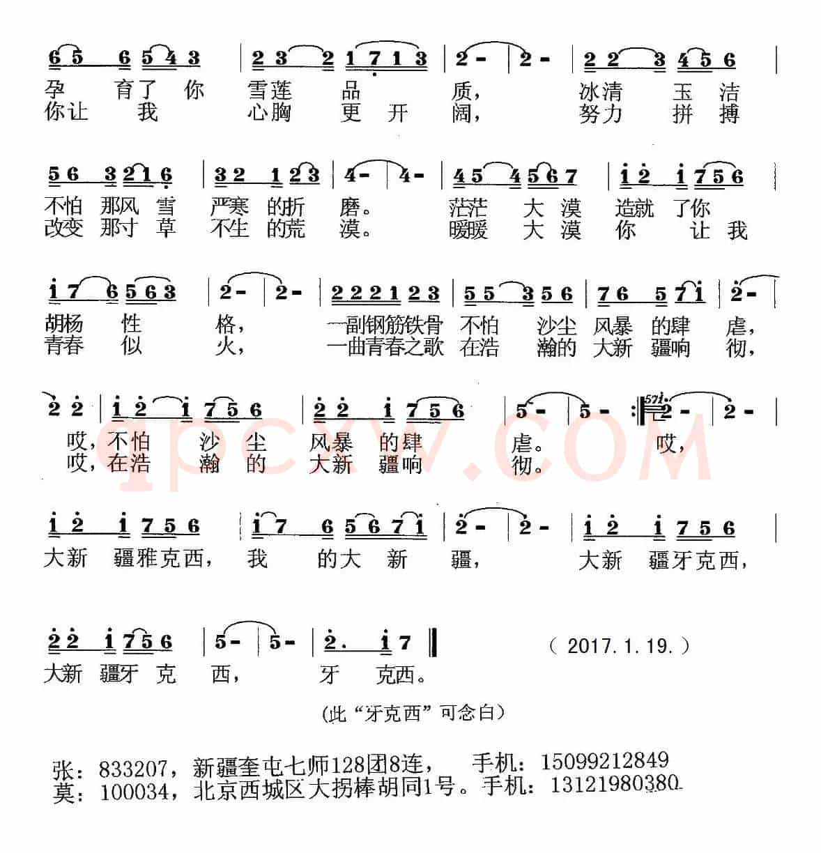 我的大新疆