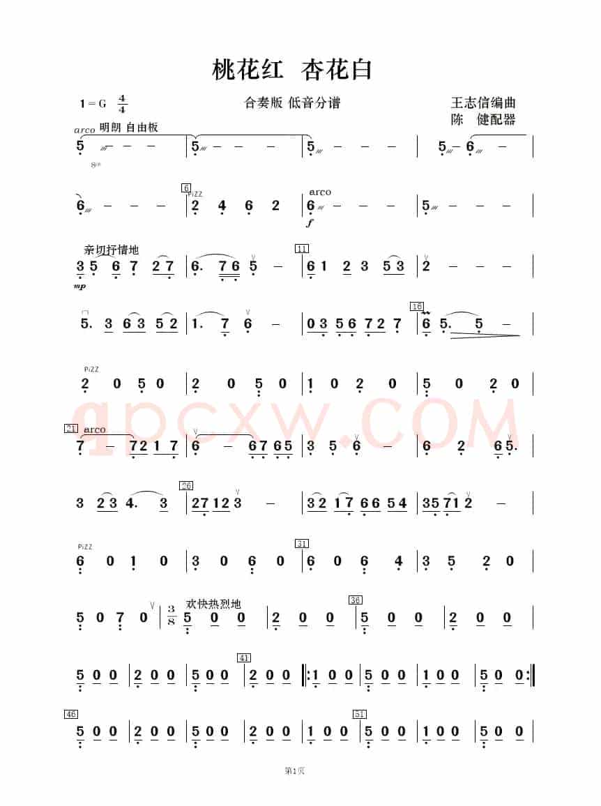 桃花红 杏花白（民乐合奏 ）