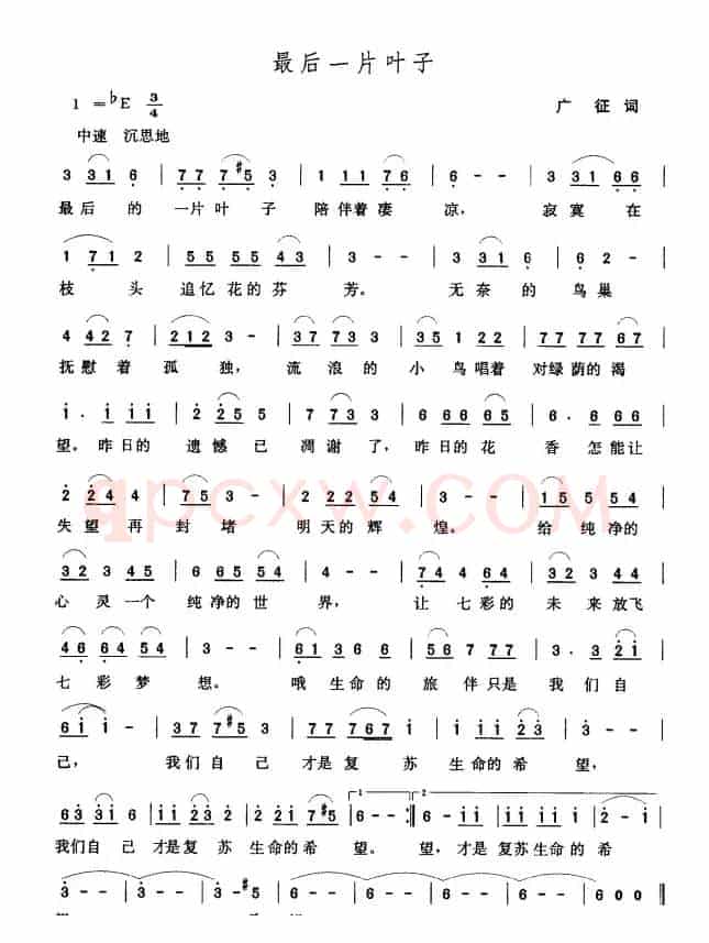 最后一片叶子