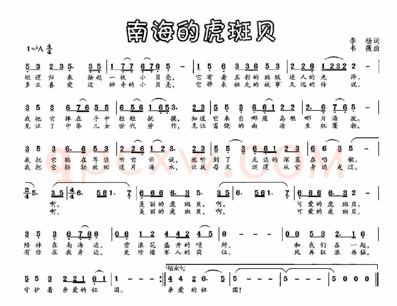 南海的虎斑贝