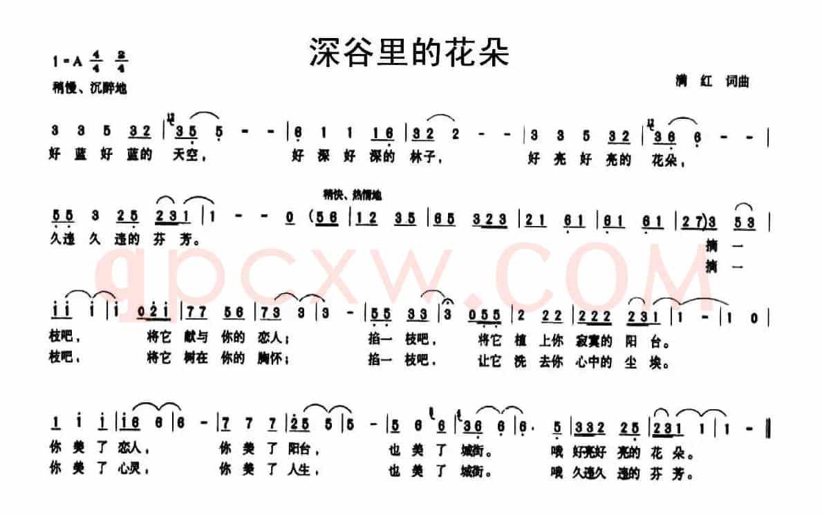 深谷里的花朵