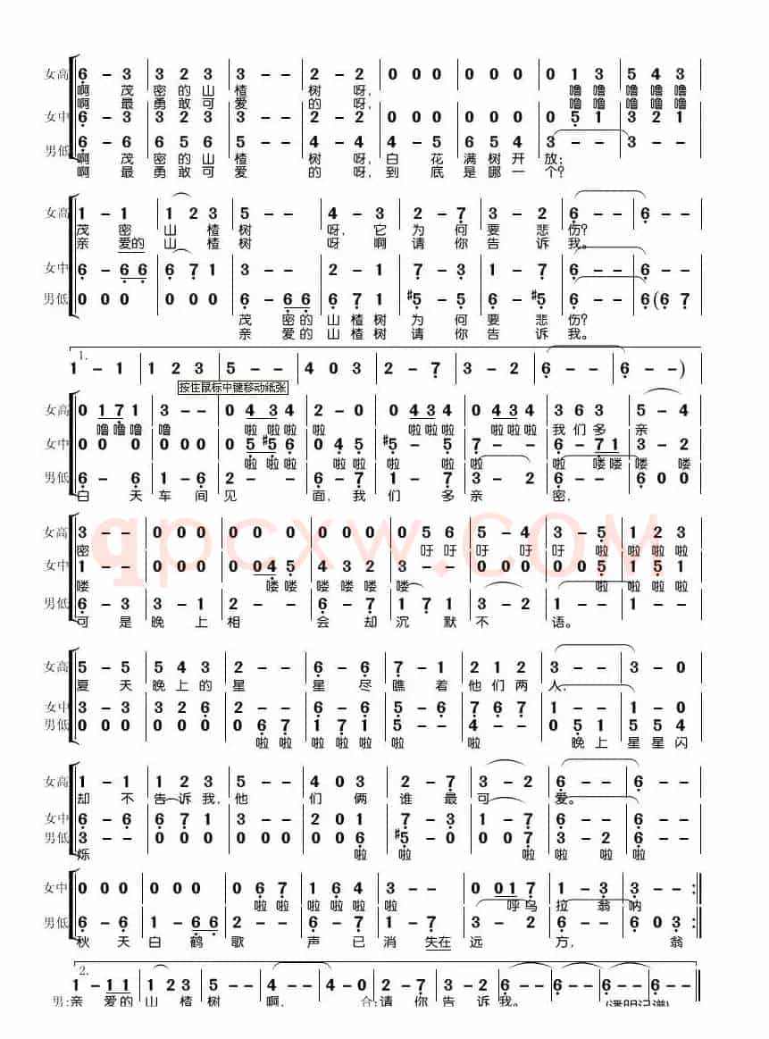 山楂树（梦之旅演唱）