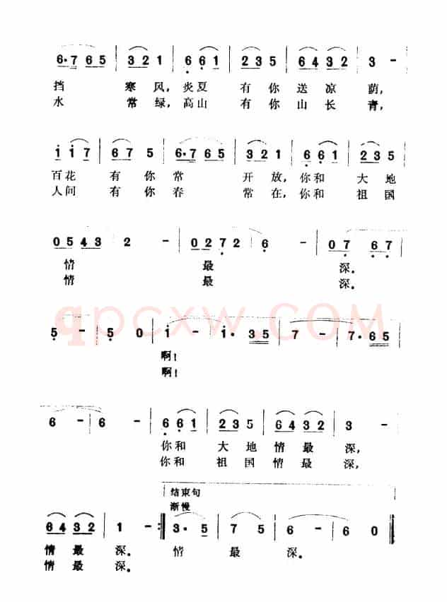 森林小区