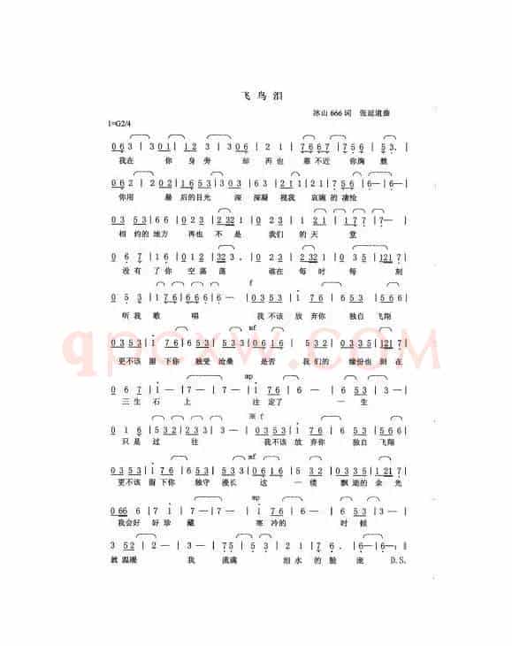 飞鸟泪