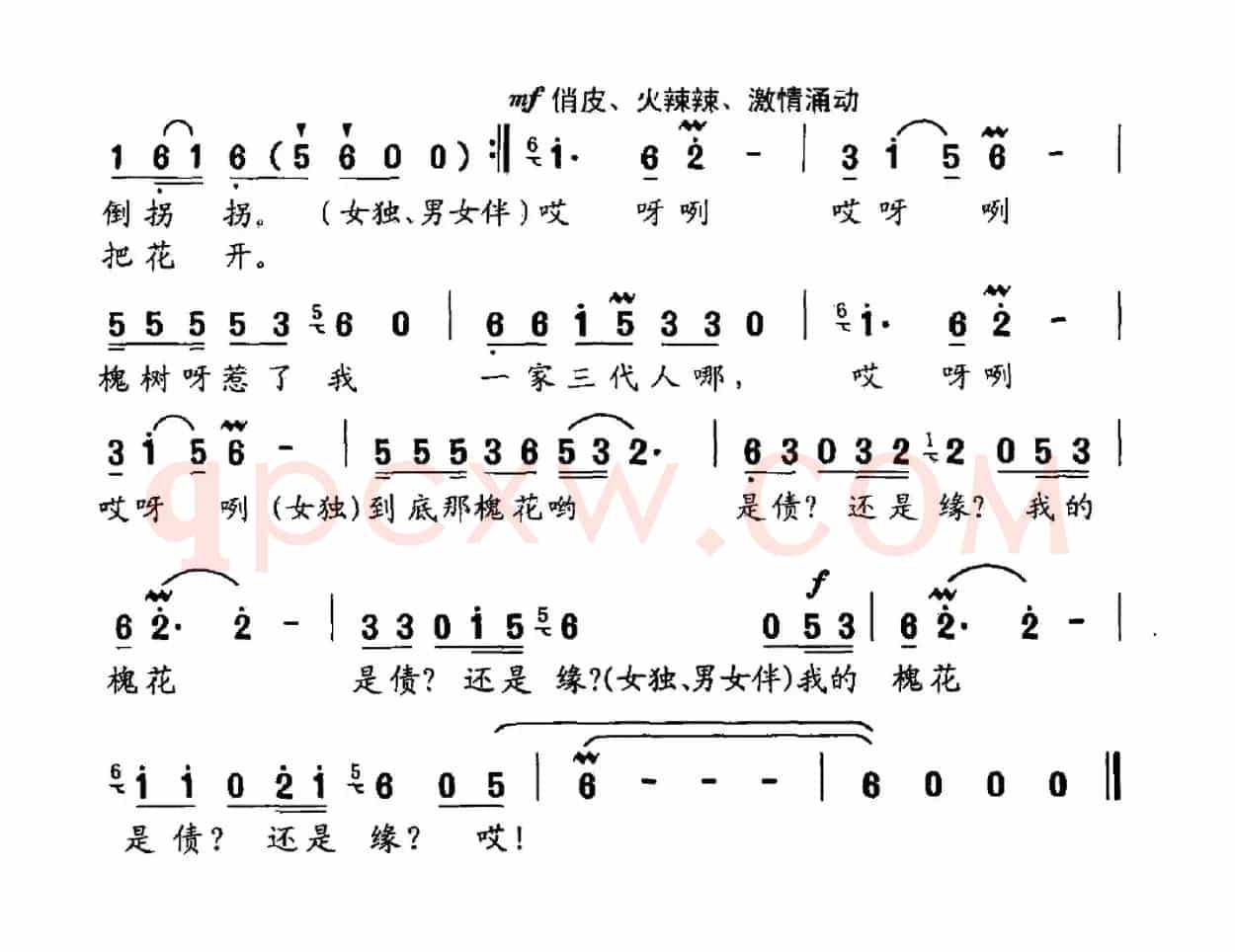 槐花开