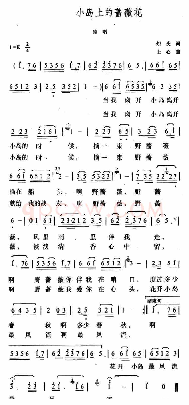 小岛上的蔷薇花
