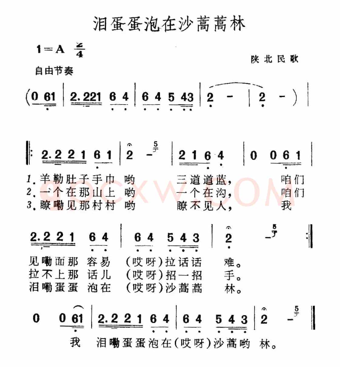 泪蛋蛋泡在沙蒿蒿林