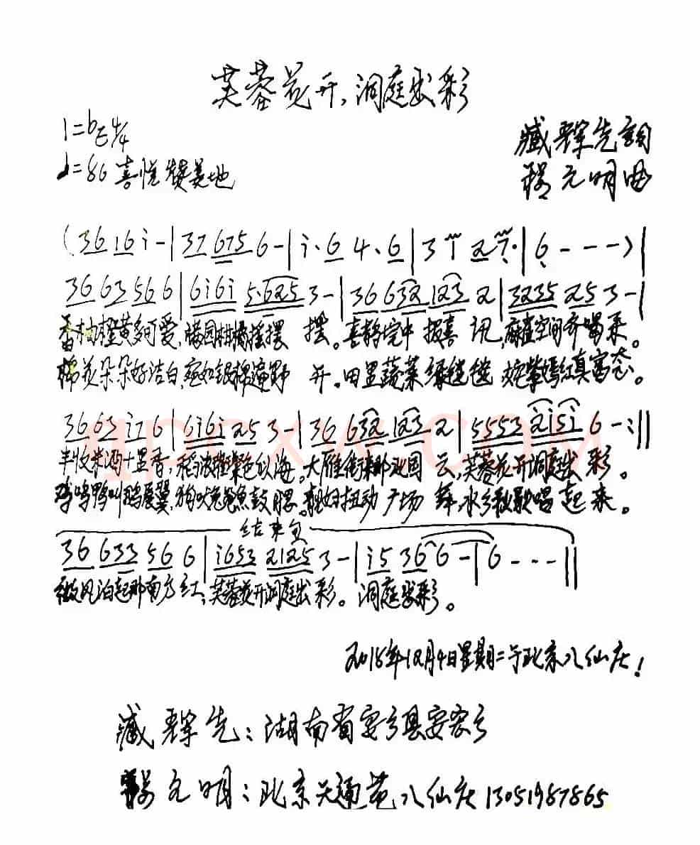 芙蓉花开,洞庭出彩