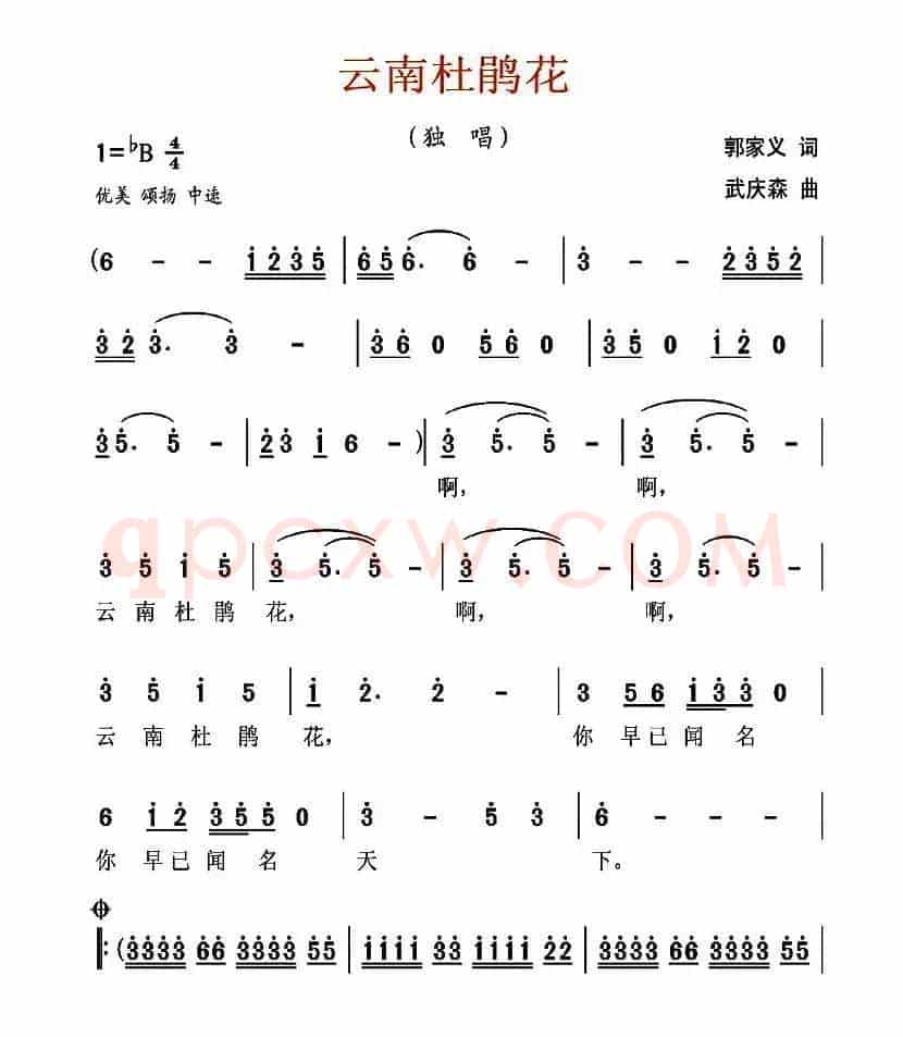 云南杜鹃花