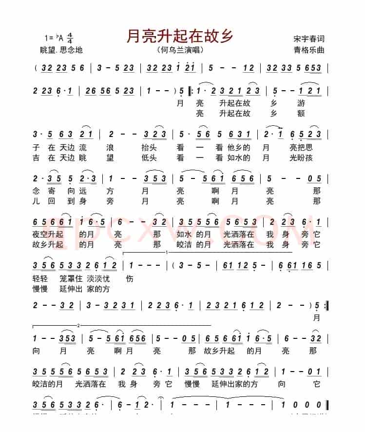 月亮升起在故乡