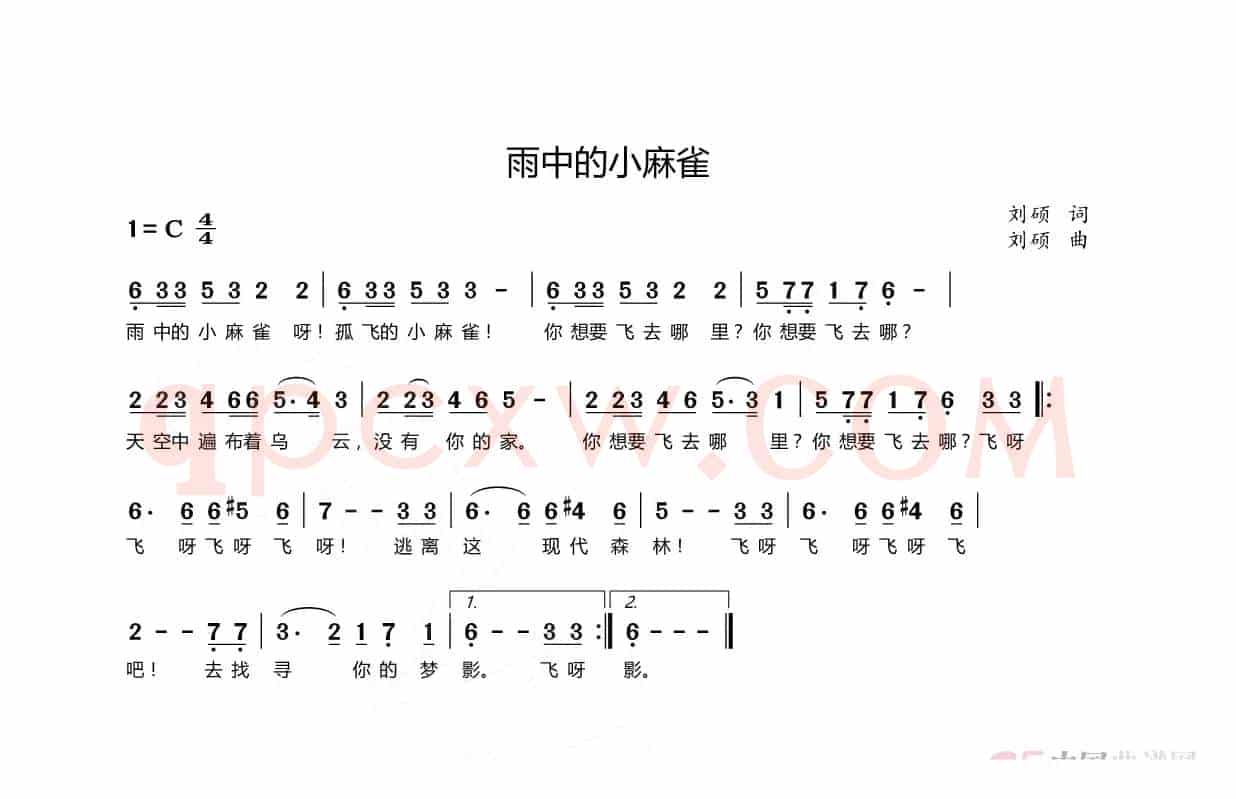 雨中的小麻雀