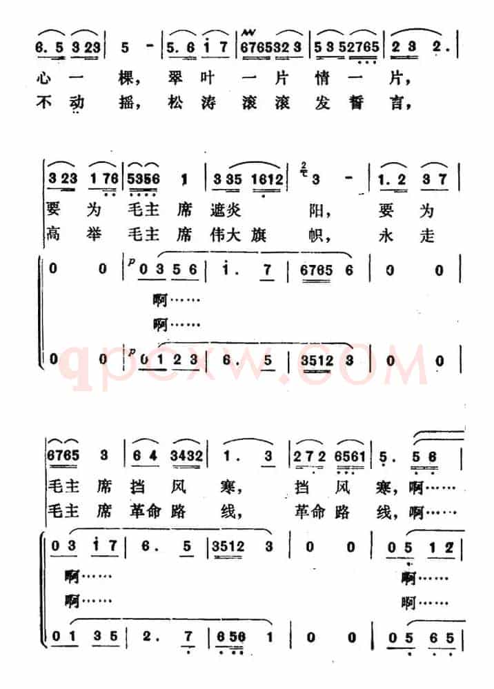 青松献给毛主席（独唱+伴唱）