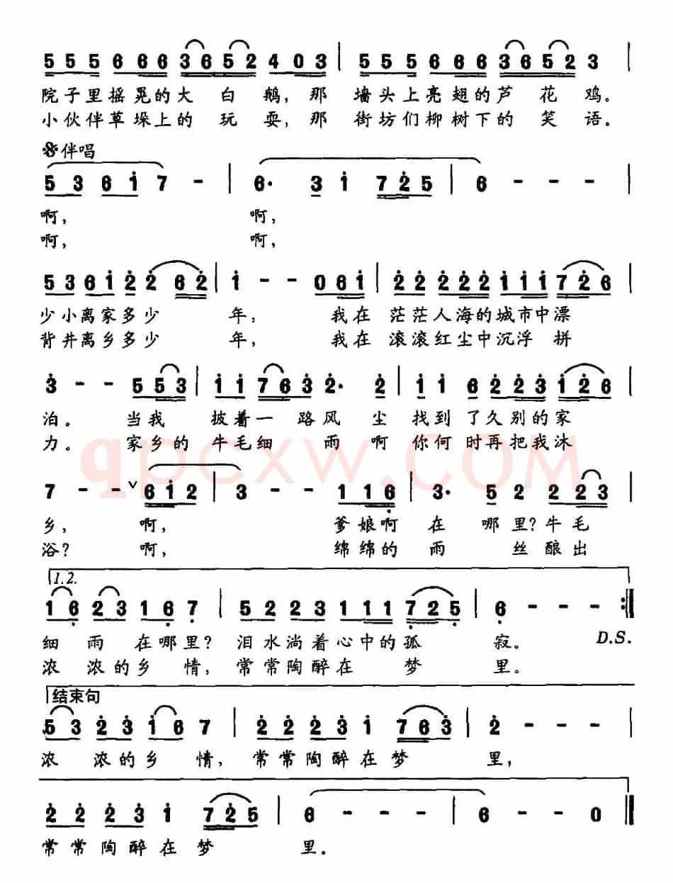 我怀念家乡的牛毛细雨
