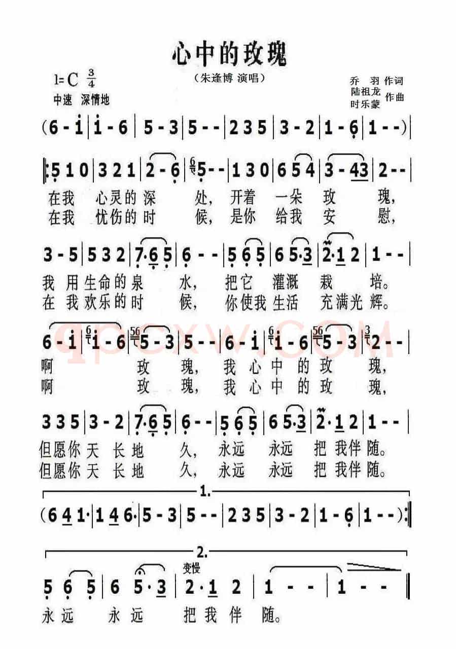 心中的玫瑰