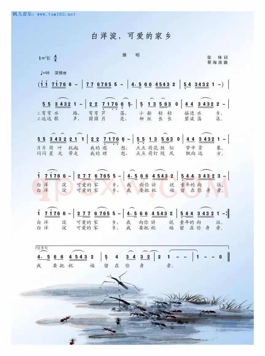 白洋淀可爱的家乡